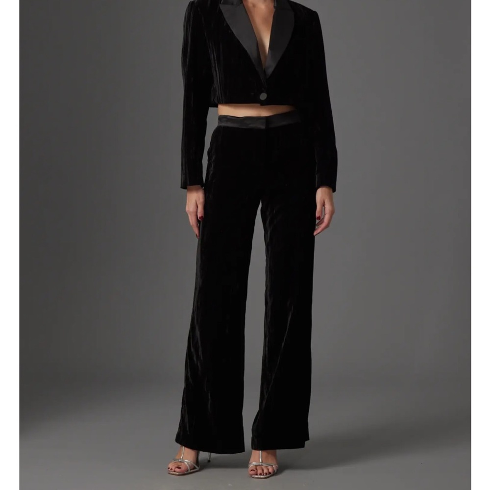 NWT Gilner Farrar black trousers - black velvet slacks office pants